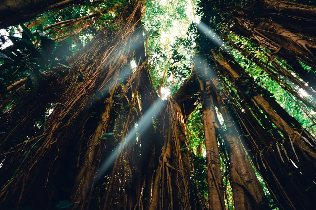 Ambiental e ESG